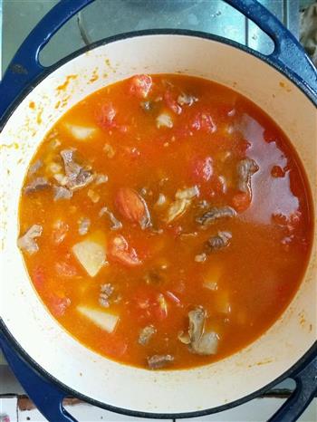 珐琅铸铁锅-牛肉西红柿土豆浓汤的做法步骤5