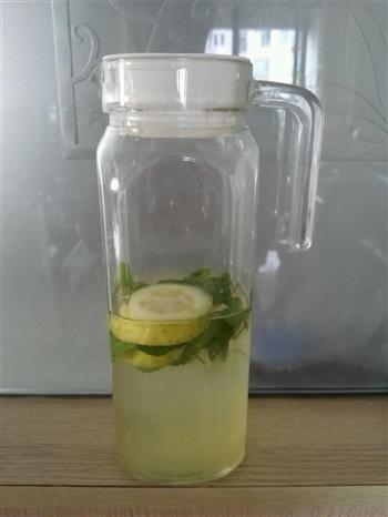 薄荷柠檬水的做法步骤2