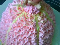 裱花蛋糕-粉色小公主的做法图解21