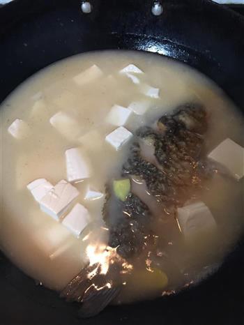 鲫鱼豆腐汤的做法图解8