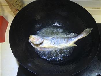 干烧鱼的做法步骤3