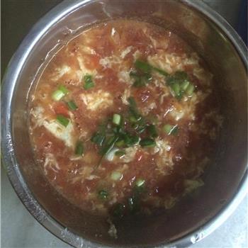 西红柿鸡蛋汤的做法步骤6