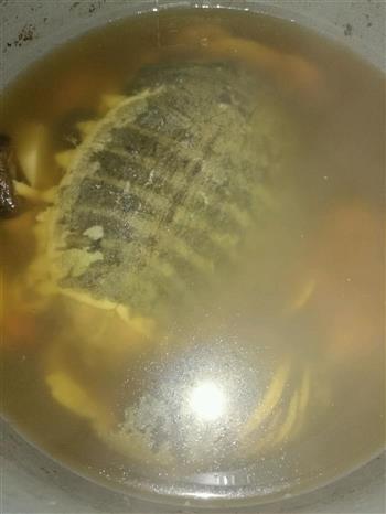 清炖甲鱼汤的做法步骤9