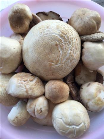 草原白蘑菇水饺的做法图解4