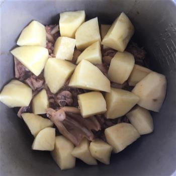土豆焖鸭肉的做法步骤4