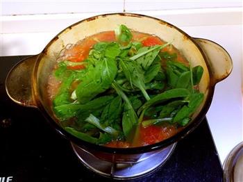 番茄鸡毛菜汤的做法图解3