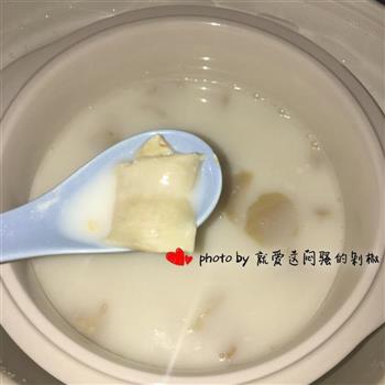 牛奶百合炖花胶的做法步骤7