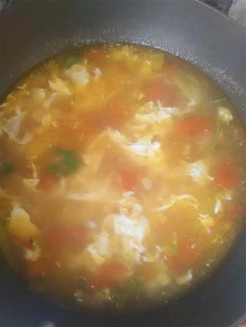 番茄鸡蛋汤的做法步骤7
