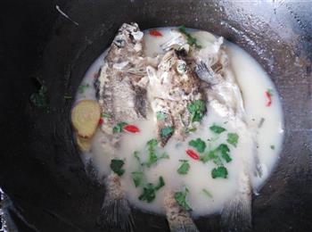 奶白黑鱼汤的做法步骤9
