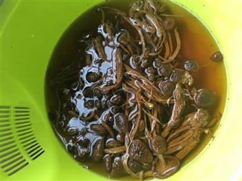 茶树菇炖排骨汤的做法图解1