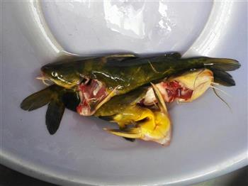 冬日暖胃黄颡鱼的做法步骤1