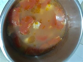 番茄排骨汤的做法图解5