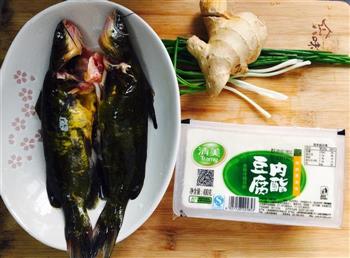 昂刺鱼豆腐汤的做法步骤1