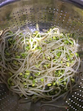 凉拌豆芽海梗菜的做法步骤3
