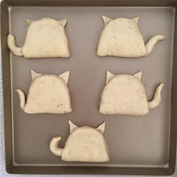 可爱猫-全麦蜂蜜面包的做法步骤10