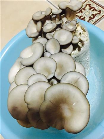 猪肉蘑菇饺子的做法图解1
