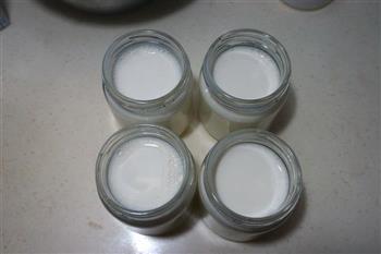 原味酸奶的做法步骤5