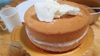鲜芒果奶油生日蛋糕八寸的做法图解6