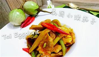泰国丛林咖喱炒猪颈肉配时蔬的做法步骤21