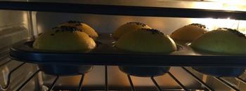 南瓜椰蓉豆沙小餐包的做法步骤9