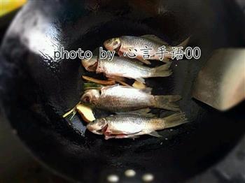 奶香野生鲫鱼汤的做法步骤4