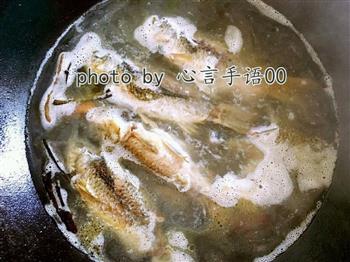奶香野生鲫鱼汤的做法步骤6