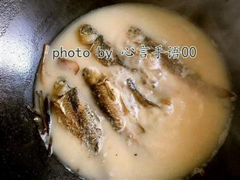 奶香野生鲫鱼汤的做法步骤7
