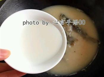 奶香野生鲫鱼汤的做法步骤8