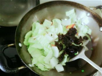 白菜炖豆腐的做法步骤3