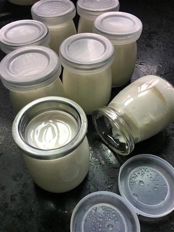 面包机自制酸奶的做法步骤7