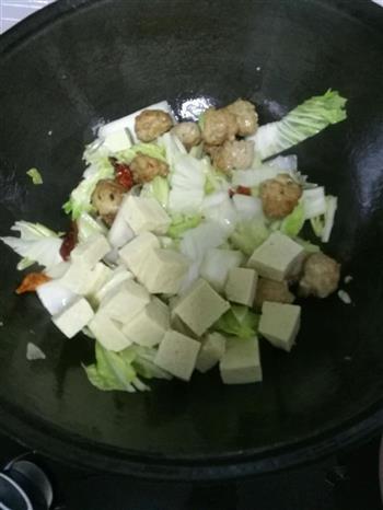 白菜豆腐粉条炖肉丸的做法步骤7