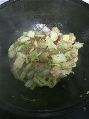 白菜豆腐粉条炖肉丸的做法步骤8