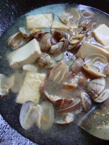花蛤豆腐汤的做法图解6