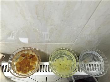桃胶、皂角米、雪燕、银耳红枣羹的做法步骤2