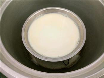 枣香牛奶炖蛋的做法图解5