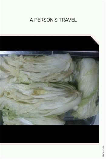 自制韩国辣白菜的做法步骤1
