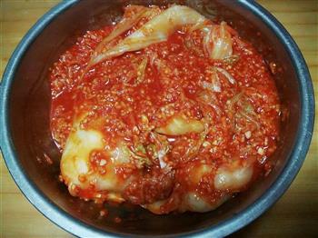 自制韩国辣白菜的做法步骤8
