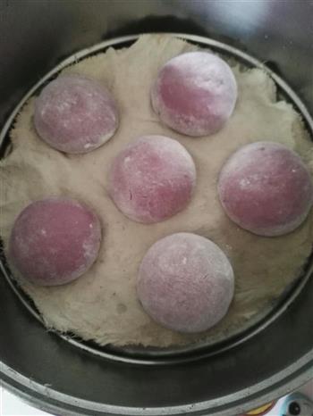 奶香紫薯豆沙包的做法步骤8