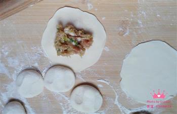 白菜猪肉饺子的做法步骤13