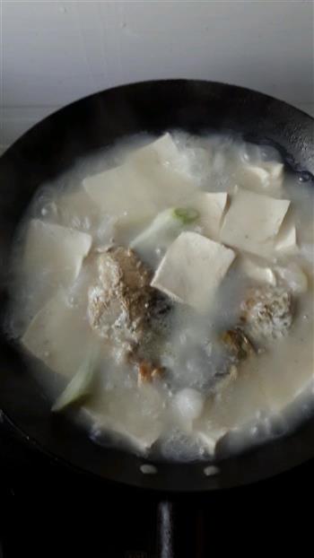 鲫鱼豆腐汤的做法步骤4