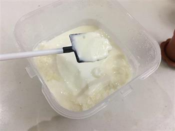 酸奶盆栽的做法步骤10