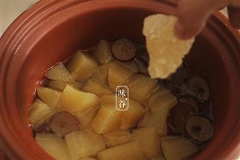 暖心暖胃的苹果银耳汤的做法步骤6