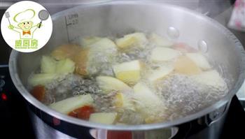 苹果山楂麦芽水，滋润提神助消化-威厨艺的做法图解4