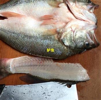 川菜-水煮鱼的做法步骤1