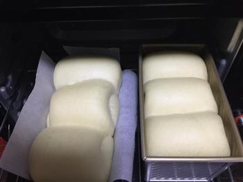 中种北海道吐司面包的做法步骤10