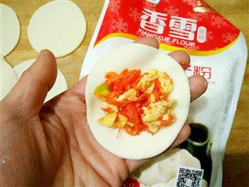 素饺子的做法步骤12