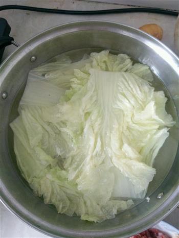 清新白菜卷的做法步骤1
