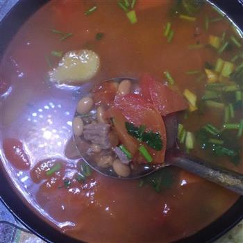 西红柿牛腩汤的做法步骤6