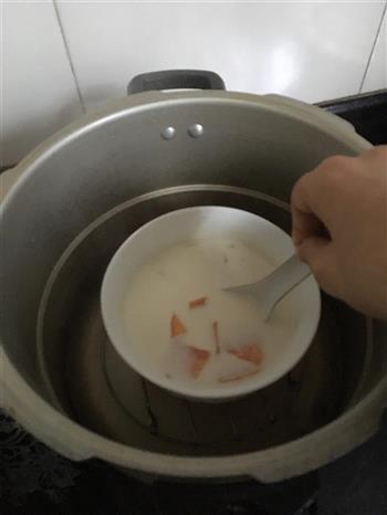 木瓜炖牛奶的做法步骤4