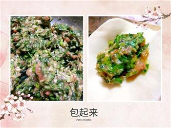 荠菜猪肉水饺-春天的味道的做法图解2